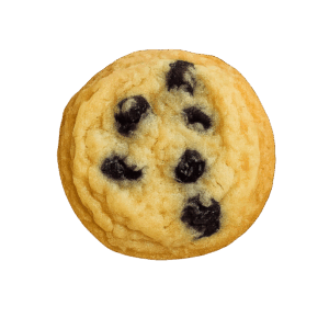 Blueberry Cookie
