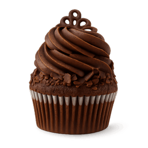 Chocolate Fudge Cupcake