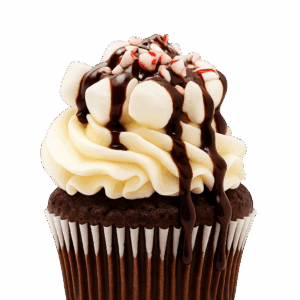 Chocolate Peppermint Cupcake
