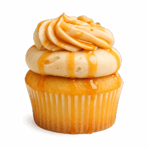 Salted Caramel Cupcake